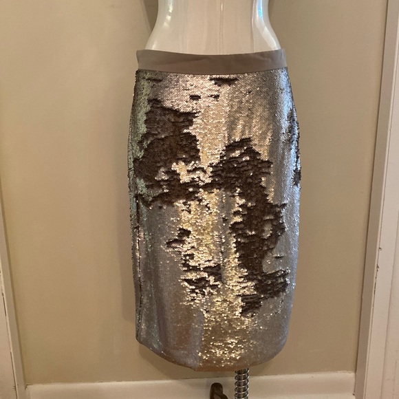Banana Republic Dresses & Skirts - Banana Republic sequin pencil skirt